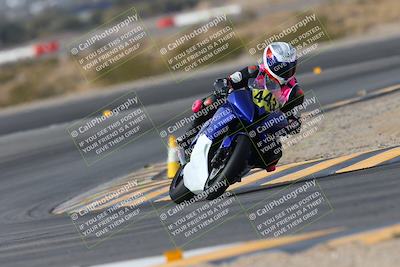 media/Jan-19-2024-Apex Assassins-CVMA Friday (Fri) [[74e94f2102]]/Trackday 1/Session 2 (Turn 11)/